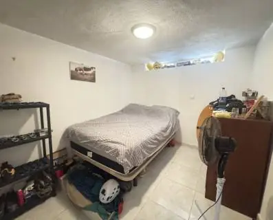  20