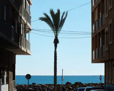 Nowe apartamenty przy plaży del Cura 1