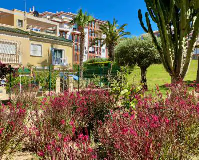 Apartament z pięknym widokiem na Morze Śródziemne - Playa de La Mata 16