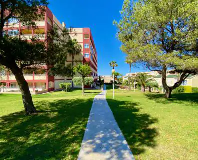 Apartament z pięknym widokiem na Morze Śródziemne - Playa de La Mata 22
